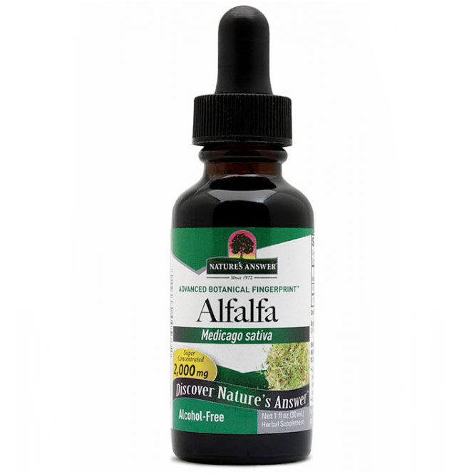 Alfalfa Alcohol Free Extract Liquid 1 oz from Natures Answer