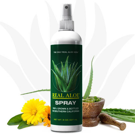 Real Aloe, Inc. Aloe Vera Spray (Skin Relief), 8 oz, Real Aloe, Inc.