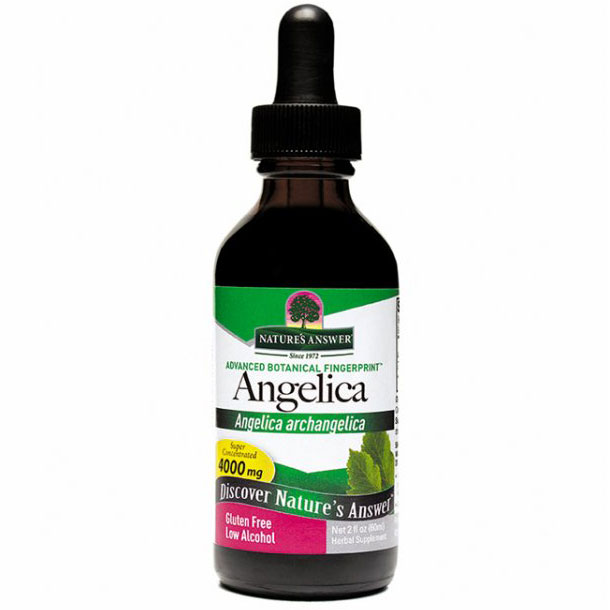 Angelica Root Extract Liquid 