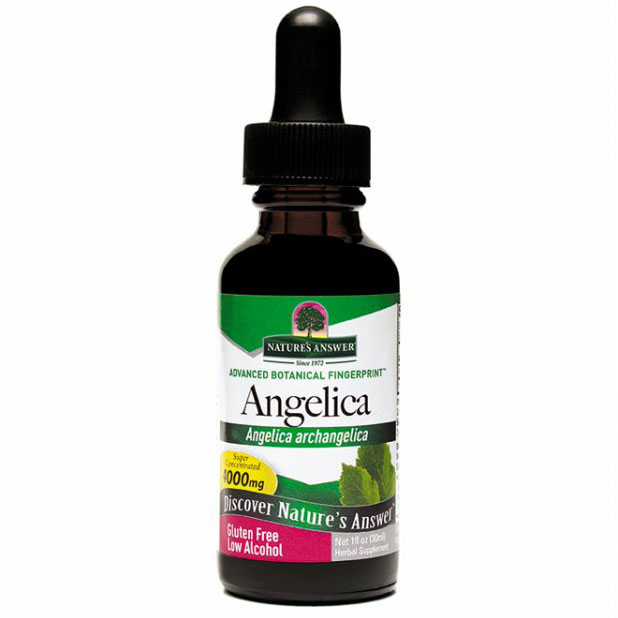 Angelica Root Extract Liquid 1 oz from Natures Answer