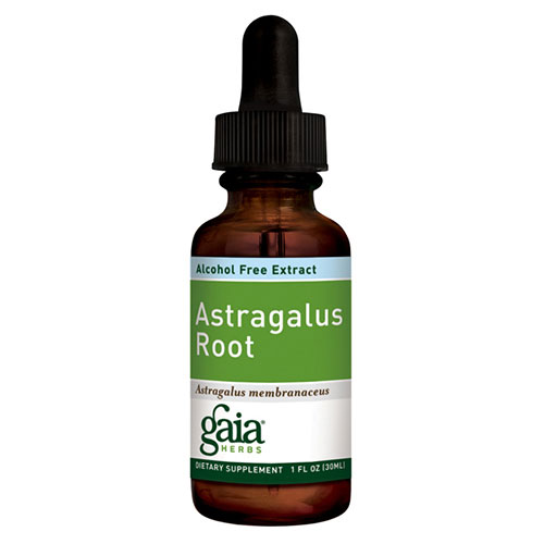 Gaia Herbs Astragalus Root Liquid, Alcohol Free, 1 oz , Gaia Herbs
