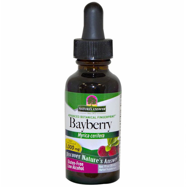 Nature's Answer Bayberry Bark Extract Liquid 1 oz from Nature's Answer