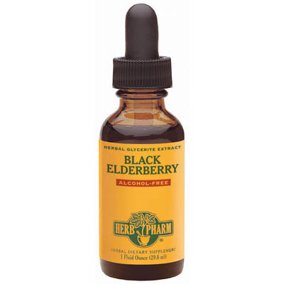 Black Elderberry Glycerite Liquid, 1 oz, Herb Pharm