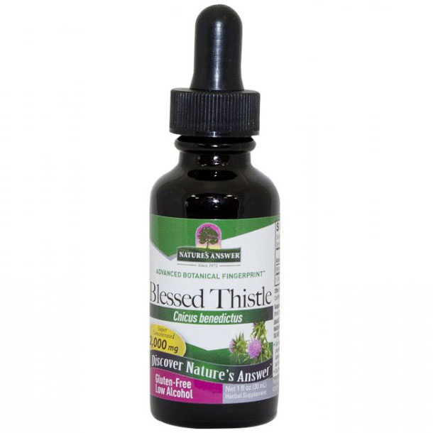 Blessed Thistle Herb Extract Liquid 1 oz from Natures Answer