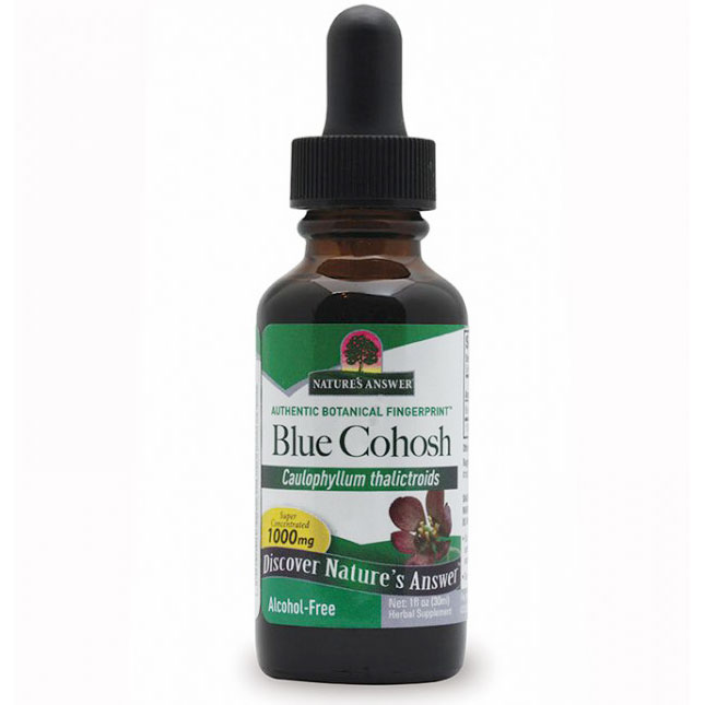 Blue Cohosh Alcohol-Free Extract Liquid, 1 oz, Natures Answer