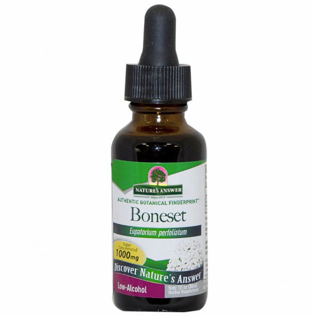 Nature's Answer Boneset Herb Extract Liquid 1 oz from Nature's Answer