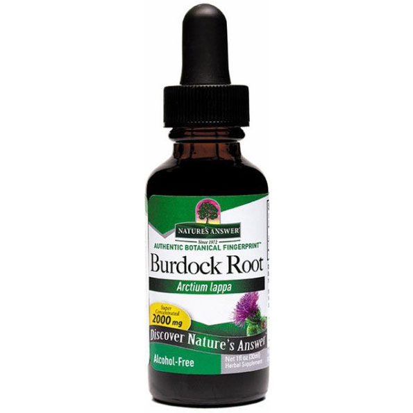 Burdock Root Alcohol Free Extract Liquid 1 oz from Natures Answer