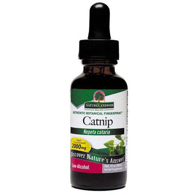 Nature's Answer Catnip Extract Liquid 1 oz from Nature's Answer