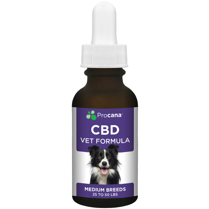 CBD Vet Formula Dropper for Medium Breed Dog (25-50 lbs), 1 oz, Procana Laboratories