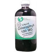 Chlorophyll Liquid 100mg w/Spearmint & Glycerin 16 oz from World Organic