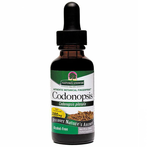 Codonopsis Root Alcohol Free Extract Liquid 1 oz from Natures Answer