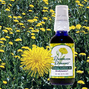 Dandelion Dynamo, Herbal Flower Oil, 2 oz, Flower Essence Services