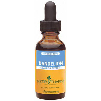 Dandelion Glycerite Liquid, 1 oz, Herb Pharm