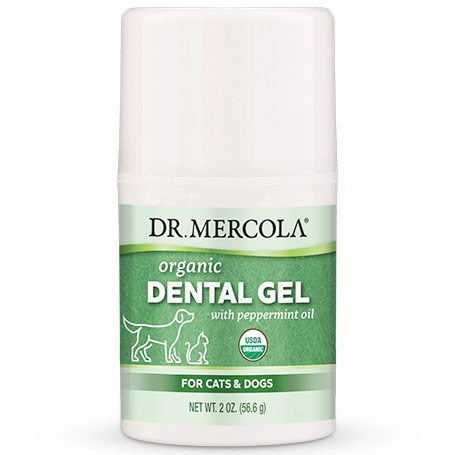 Dental Gel for Pets, Peppermint Flavor, 4 oz, Dr. Mercola