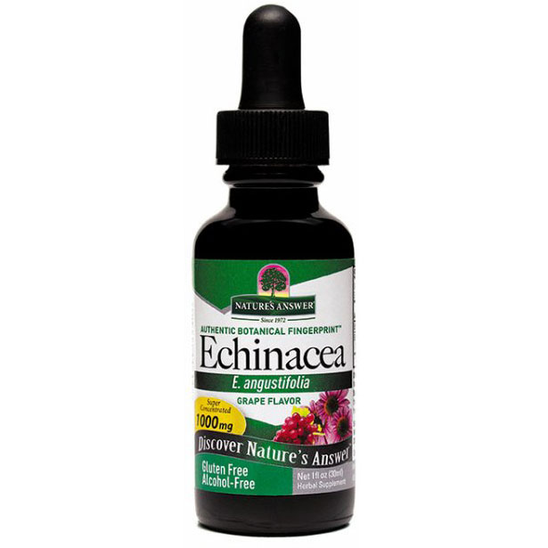 Echinacea Alcohol Free Extract Liquid 1 oz from Natures Answer