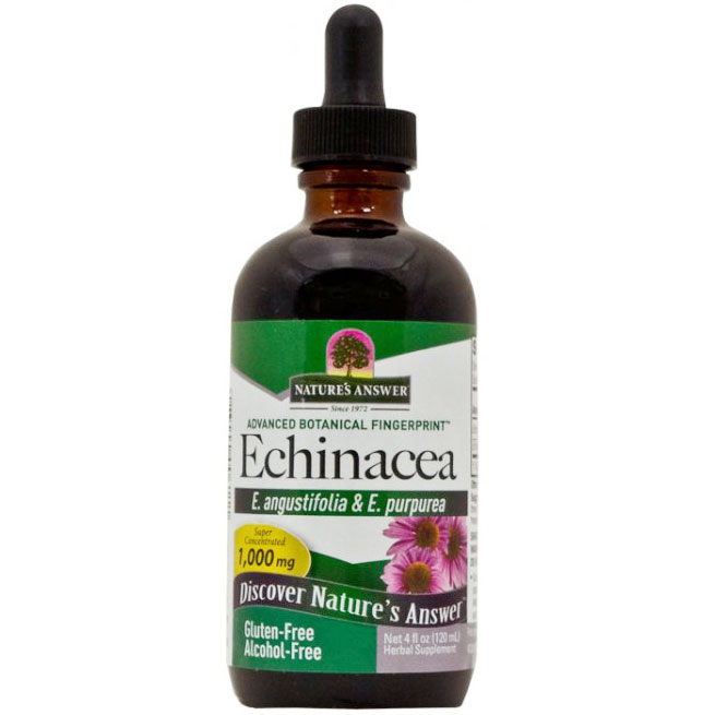 Echinacea Alcohol Free Extract Liquid 4 oz from Natures Answer