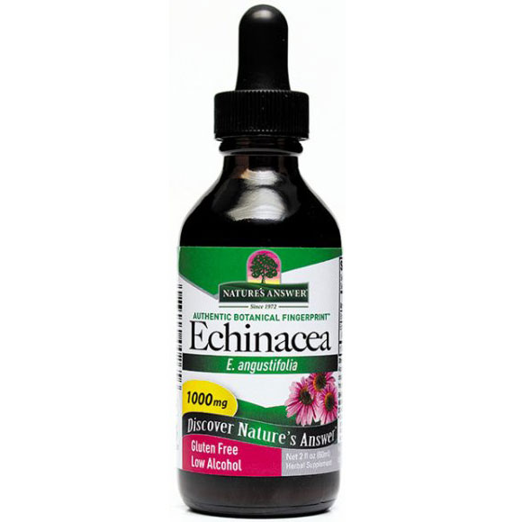 Echinacea Extract Liquid 2 oz from Natures Answer
