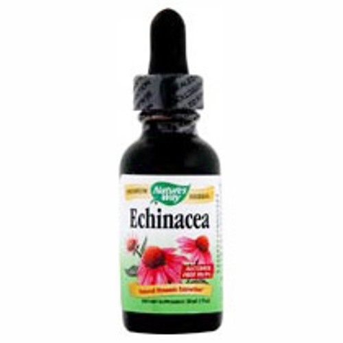 Echinacea Extract Liquid with Glycerine 1 oz from Natures Way