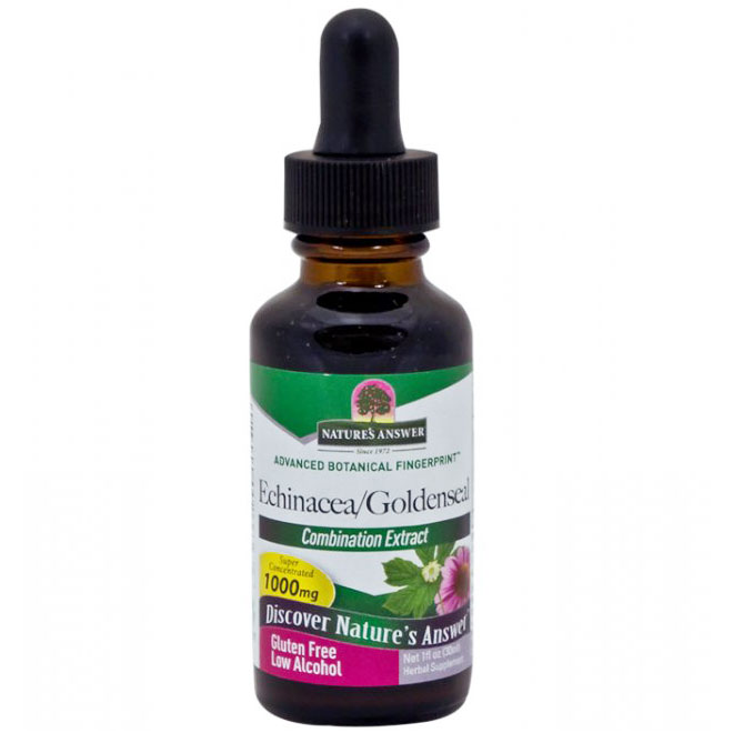 Echinacea-Goldenseal Extract Liquid 1 oz from Natures Answer