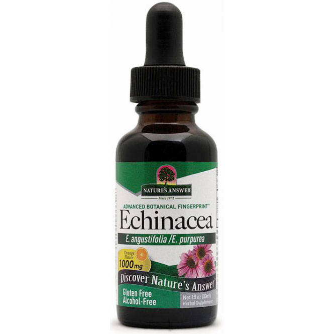 Echinacea Organic Orange Flavor Alcohol Free 1 fl oz from Nature's Answer