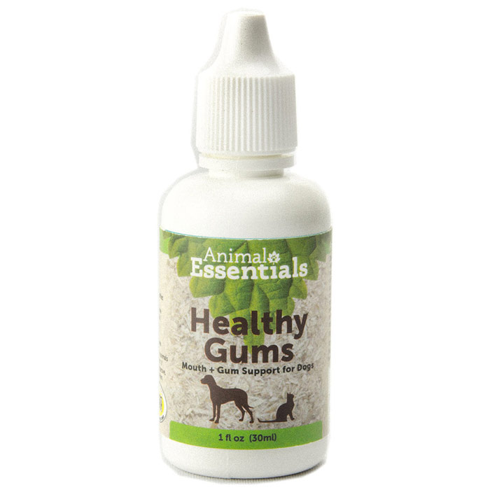 Healthy Gums Liquid, Mouth & Gum Support for Dogs, 1 oz, Animal Essentials
