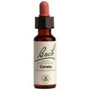 Bach Flower Essences Flower Essence Cerato 20 ml from Bach Flower Essences