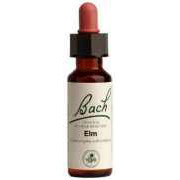 Bach Flower Essences Flower Essence Elm 20 ml from Bach Flower Essences