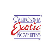 Gina Lynn Playing Cards, California Exotic Novelties