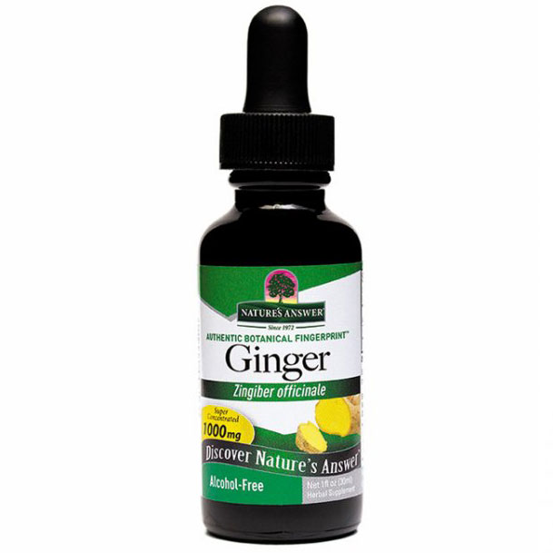 Nature's Answer Ginger Root Alcohol Free Extract Liquid 1 oz from Nature's Answer