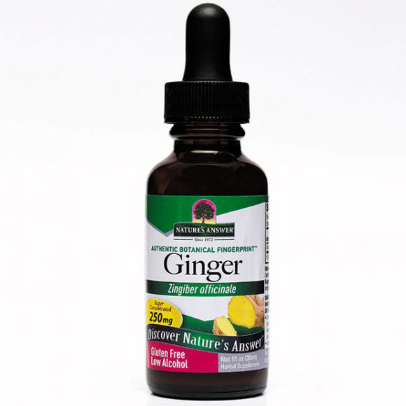 Ginger Root Extract Liquid 1 oz from Natures Answer