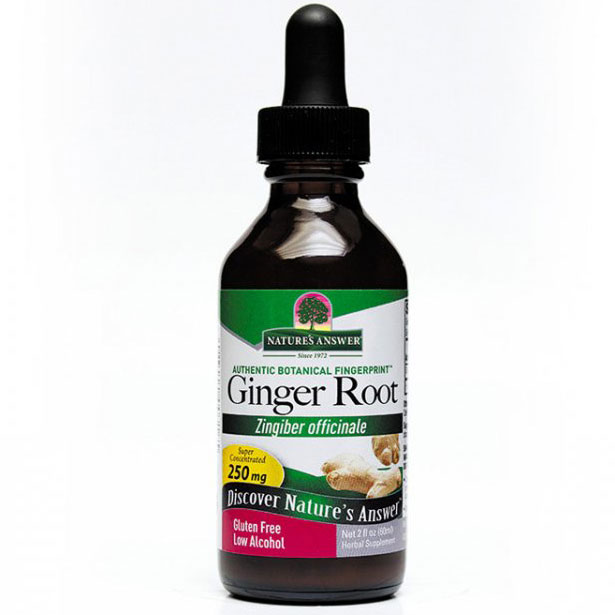 Ginger Root Extract Liquid 2 oz from Natures Answer