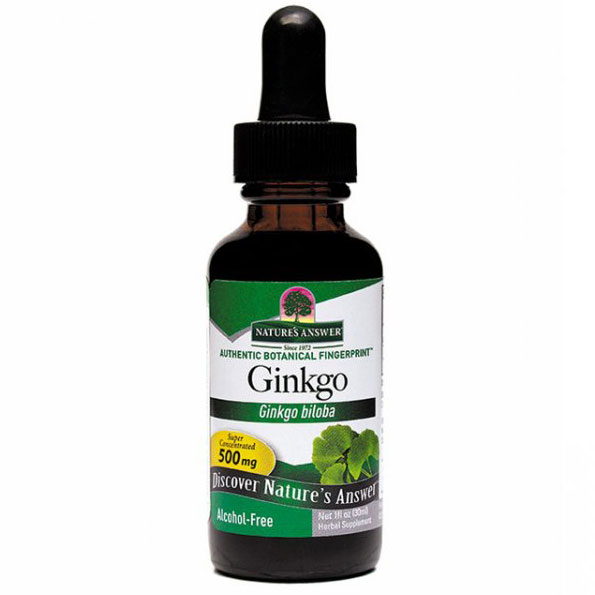 Ginkgo Leaf Alcohol Free Extract Liquid 1 oz from Natures Answer