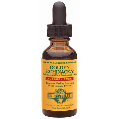 Golden Echinacea Glycerite Liquid, 4 oz, Herb Pharm