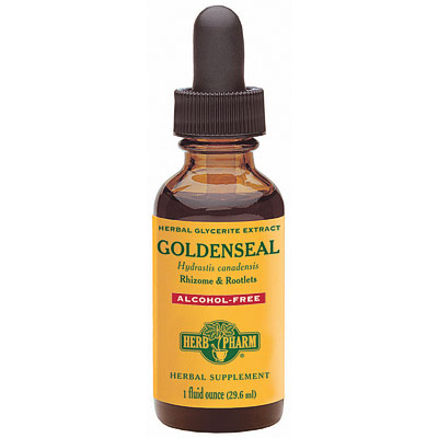 Goldenseal Glycerite Drops Alcohol-Free 1 oz from Herb Pharm