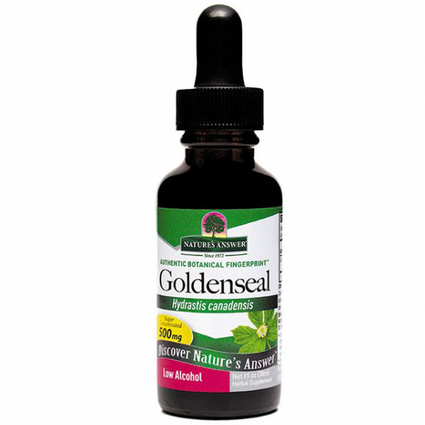 Goldenseal Root Extract Liquid 1 oz from Natures Answer