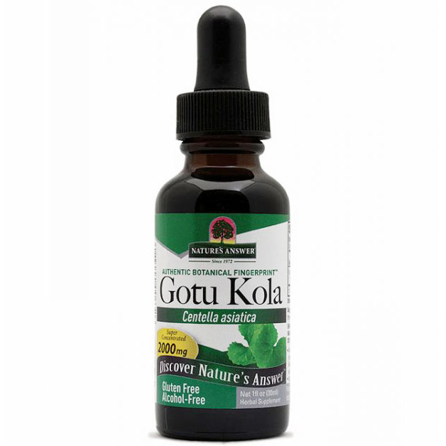 Gotu-Kola Herb Alcohol Free Extract Liquid (GotuKola) 1 oz from Nature's Answer