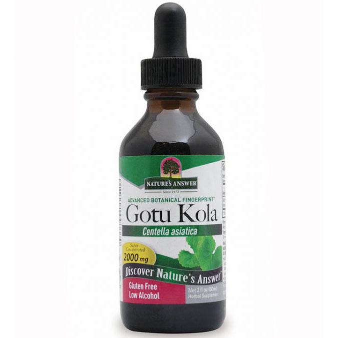 Gotu-Kola Herb Extract Liquid (GotuKola) 2 oz from Nature's Answer