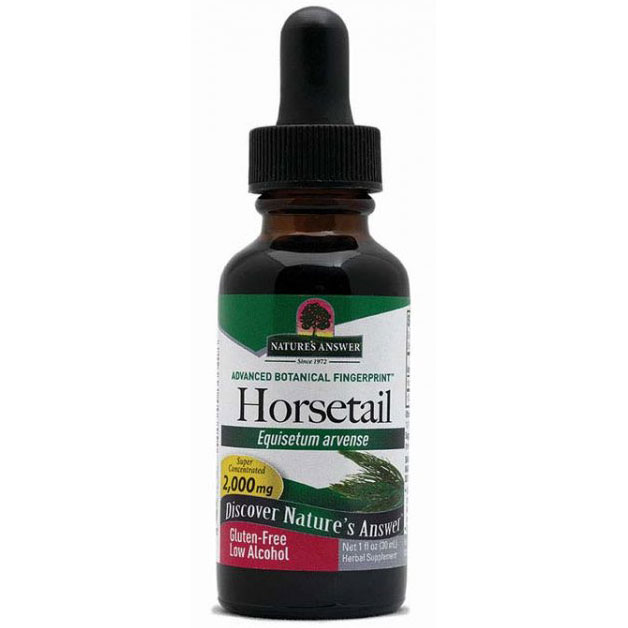 Horsetail Herb Extract Liquid 1 oz from Natures Answer
