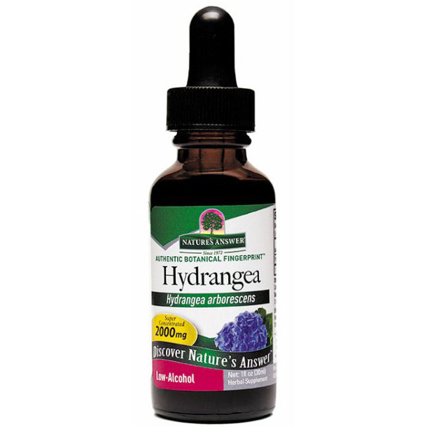 Hydrangea Root Extract Liquid 1 oz from Natures Answer
