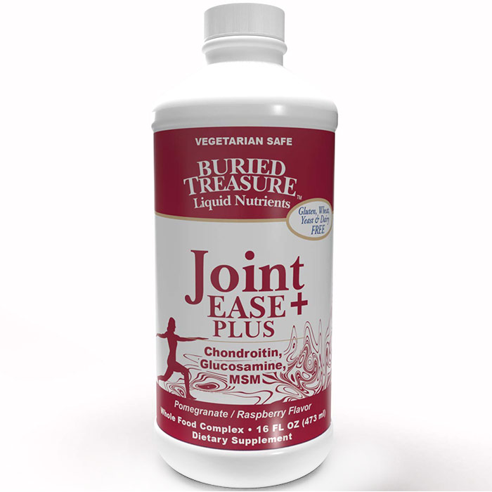 Joint Ease Complete Liquid Supplement, 16 oz, Buried Treasure