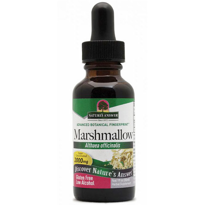 Marshmallow Root Extract Liquid 1 oz from Natures Answer
