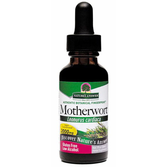 Motherwort Herb Extract Liquid 1 oz from Natures Answer