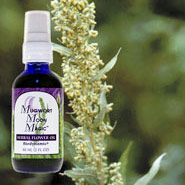 Flower Essence Services Mugwort Moon Magic, Herbal Flower Oil, 2 oz, Flower Essence Services