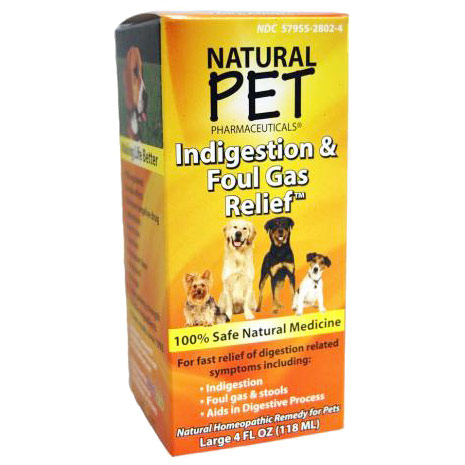King Bio Natural Pet Pharmaceuticals (KingBio) Dog Indigestion & Foul Gas Relief, 4 oz, King Bio Natural Pet (KingBio)