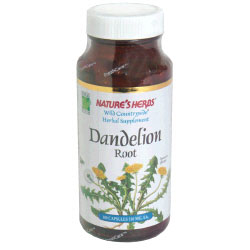 Dandelion Root 510 mg 100 capsules from Natures Herbs