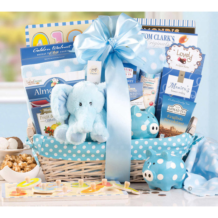 New Arrival Baby Boy Gift Basket (Plush Toy, Baby Blanket, Cookies & More Gifts for Baby and Parents)