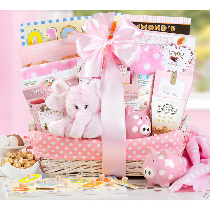 New Arrival Baby Girl Gift Basket (Plush Toy, Baby Blanket, Cookies & More Gifts for Baby and Parents)