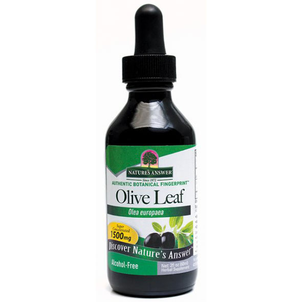 Olive Leaf Extract Liquid Alcohol-Free, 2 oz, Natures Answer