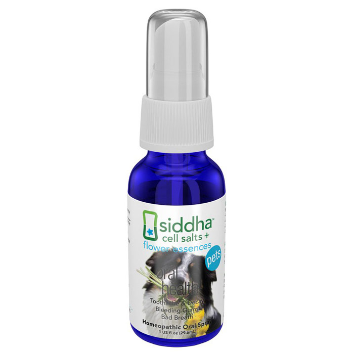 Pet Oral Health, 1 oz, Siddha Flower Essences