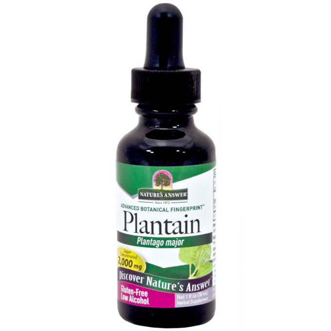 Plantain Leaf Extract Liquid 1 oz from Natures Answer